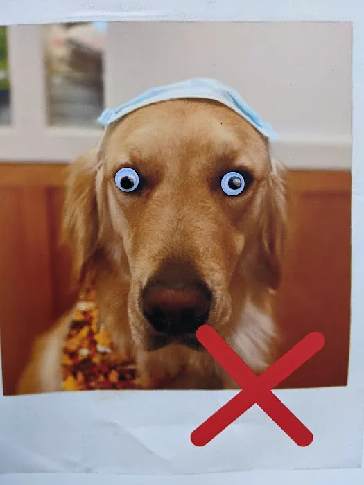 Ambassador Veterinary Hospital 1