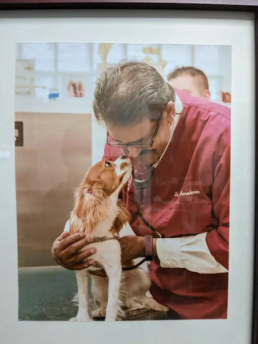 Ambassador Veterinary Hospital 9
