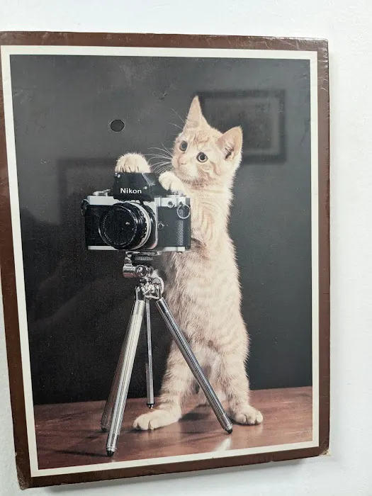 Ambassador Veterinary Hospital 7