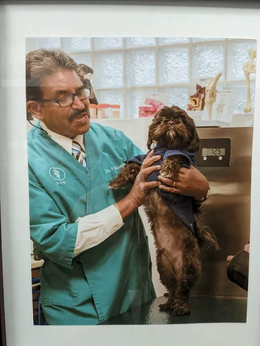 Ambassador Veterinary Hospital 8