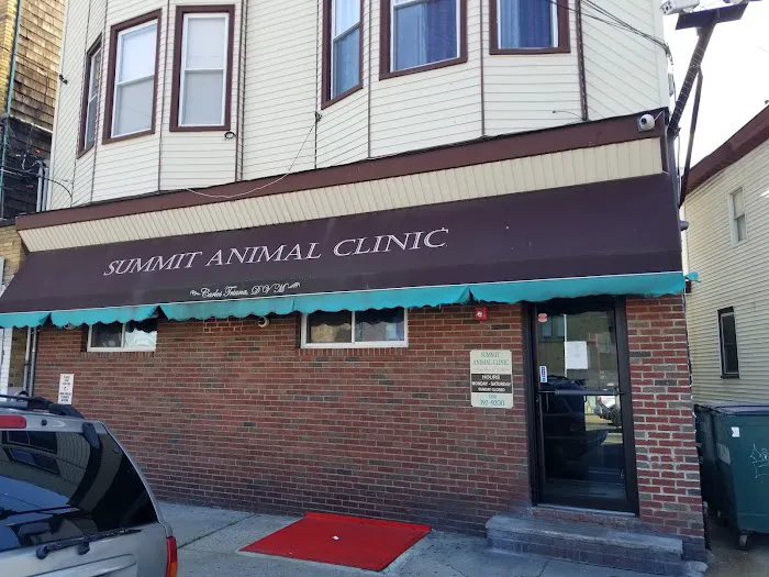 Summit Animal Clinic 8