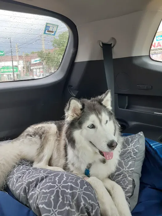 Summit Animal Clinic 6