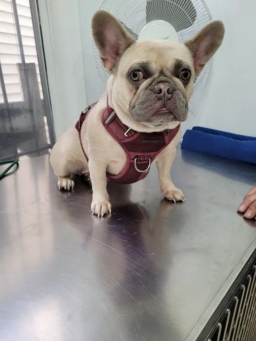Summit Animal Clinic 1