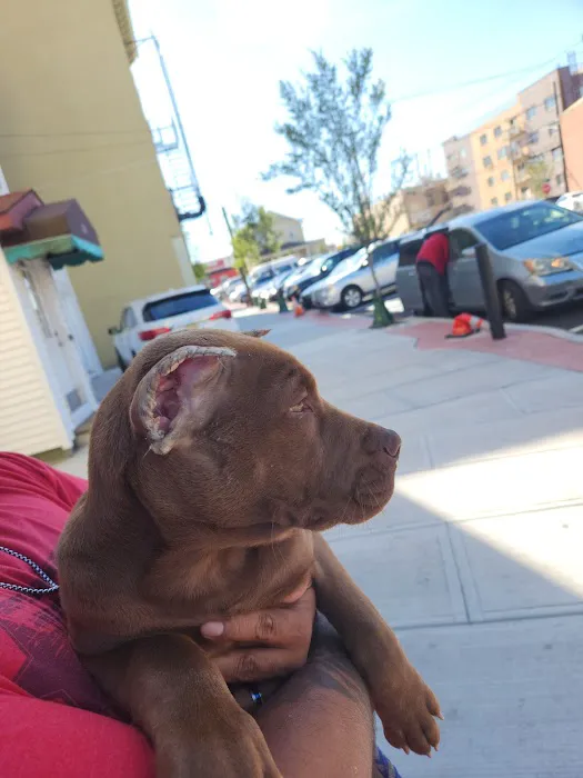 Summit Animal Clinic 5