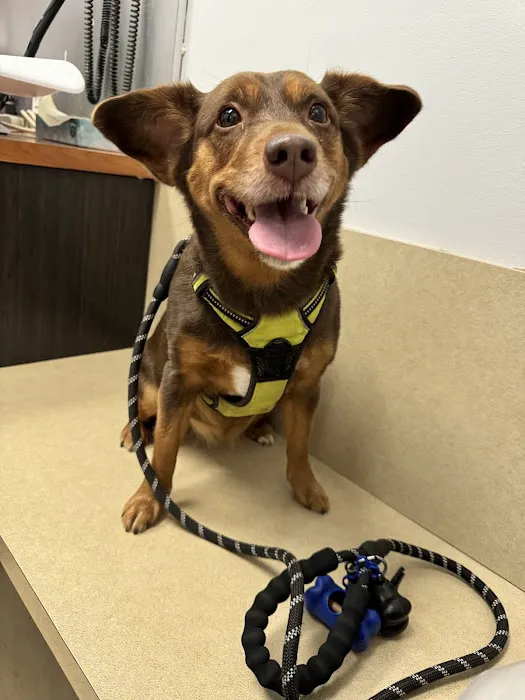 Banfield Pet Hospital 7