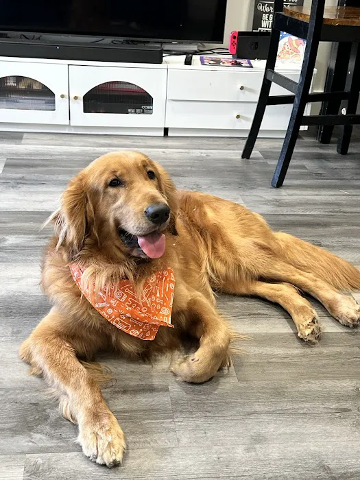 Banfield Pet Hospital 3