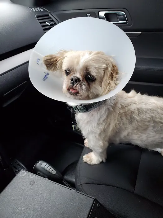 Banfield Pet Hospital 8