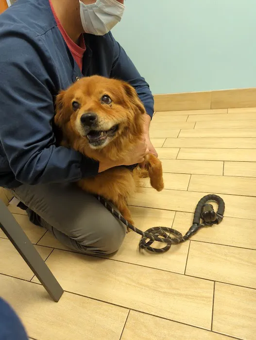Banfield Pet Hospital 9