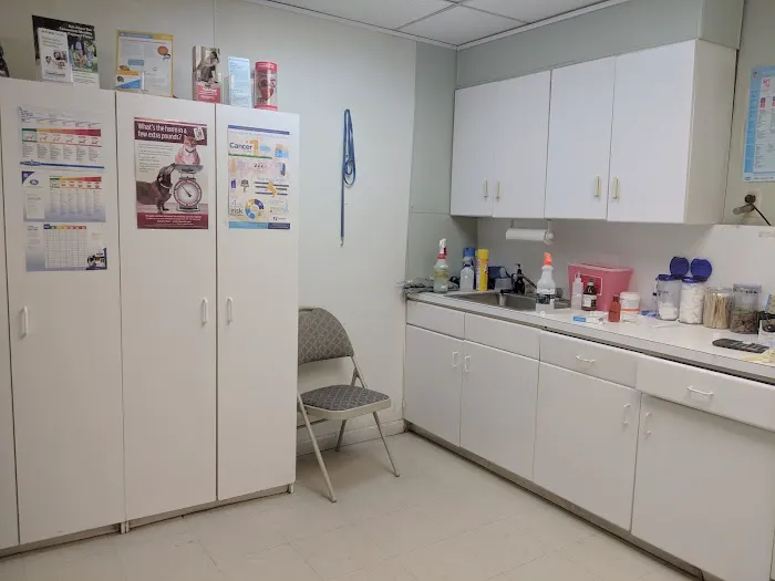 Union City Animal Clinic 6
