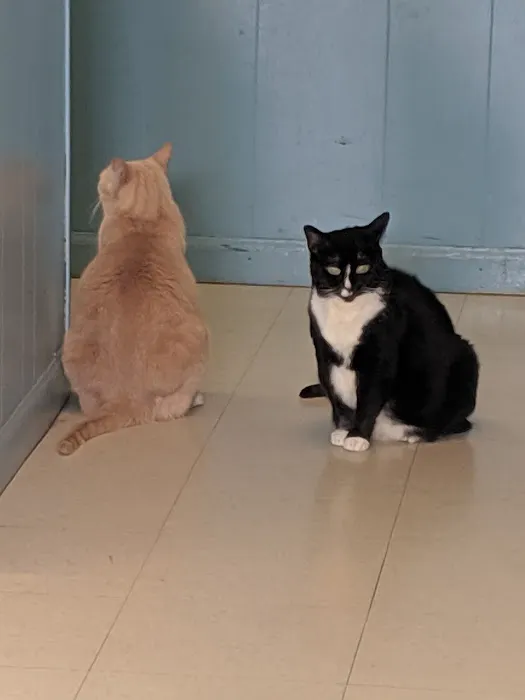 Union City Animal Clinic 5