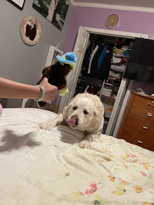 Union City Animal Clinic 2