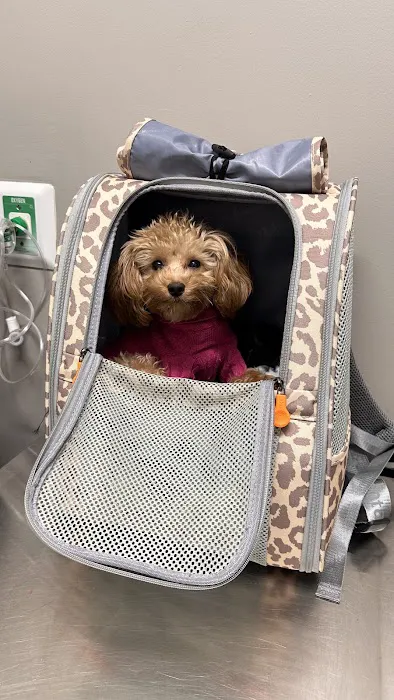 VEG ER for Pets 12