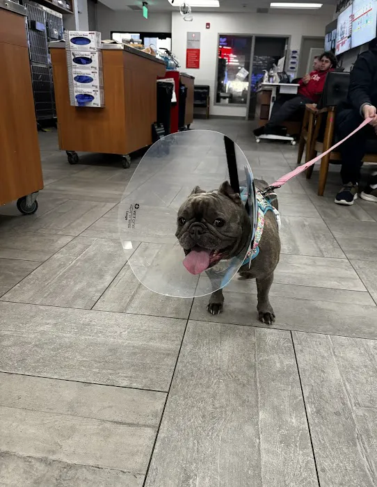 VEG ER for Pets 12