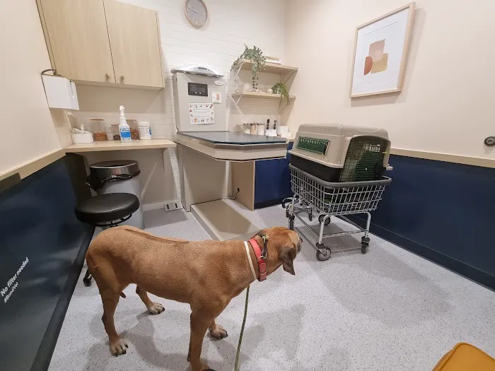 Bond Vet - Hoboken 12