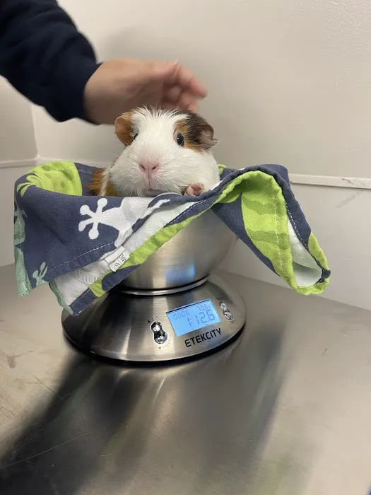 Hoboken Vets Animal Clinic 12