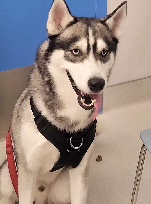 Hoboken Vets Animal Clinic 12