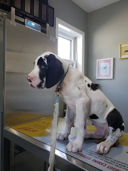 Dr. T Vet Care 2