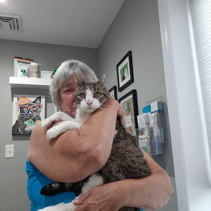 Dr. T Vet Care 1