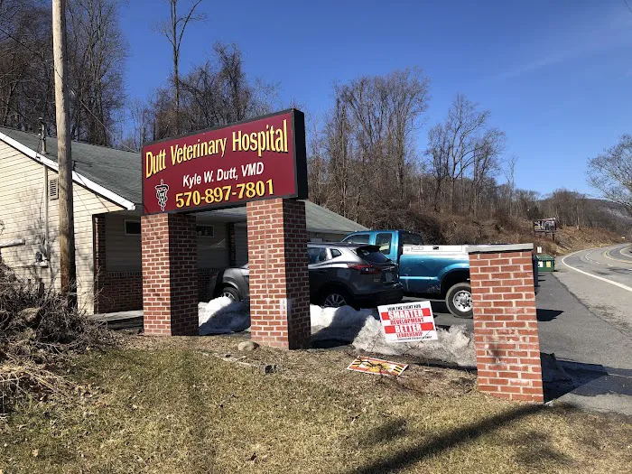 Dutt Veterinary Hospital 12