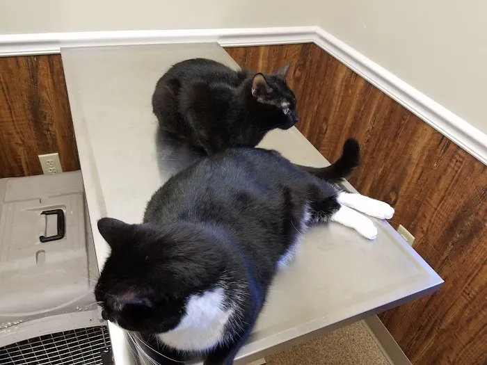 Dutt Veterinary Hospital 12