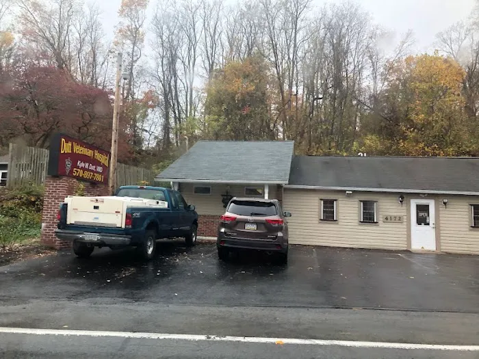 Dutt Veterinary Hospital 12
