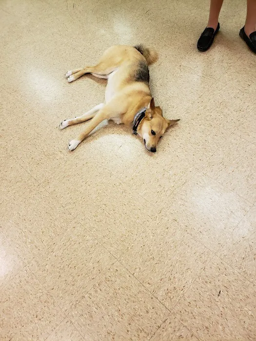 Mt Bethel Animal Hospital 6