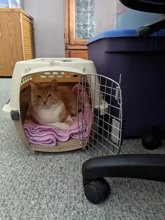 Mt Bethel Animal Hospital 3