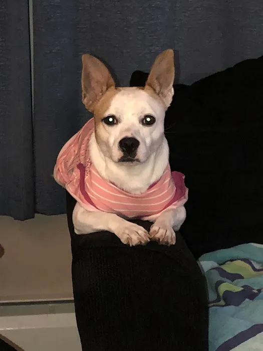 Mt Bethel Animal Hospital 2
