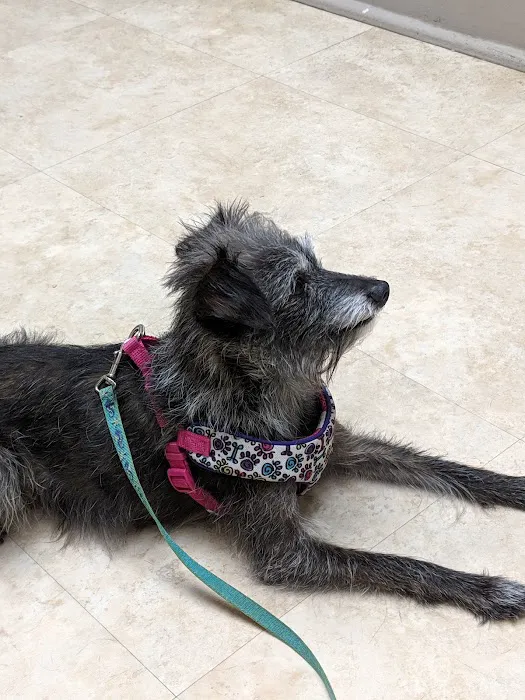 Mt Bethel Animal Hospital 4
