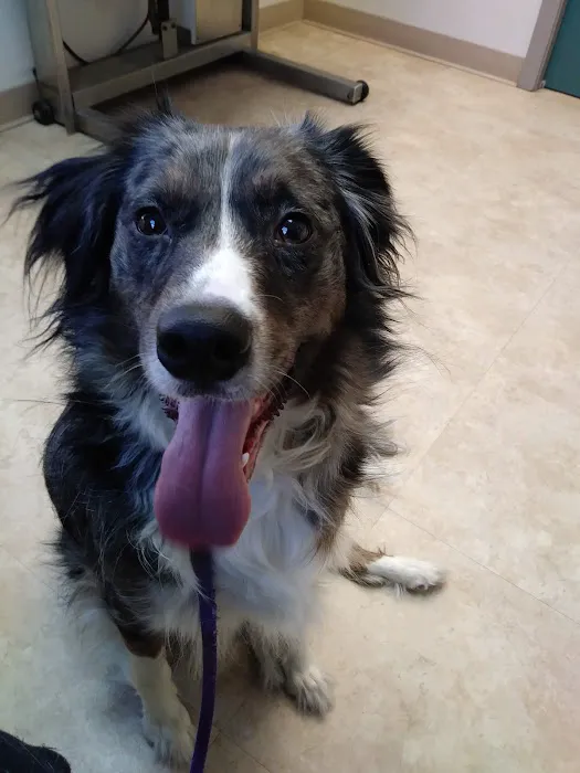 Mt Bethel Animal Hospital 5