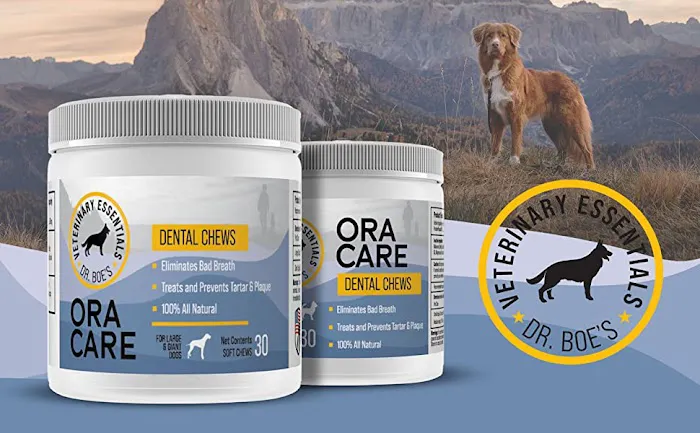 Veterinary Essentials 12
