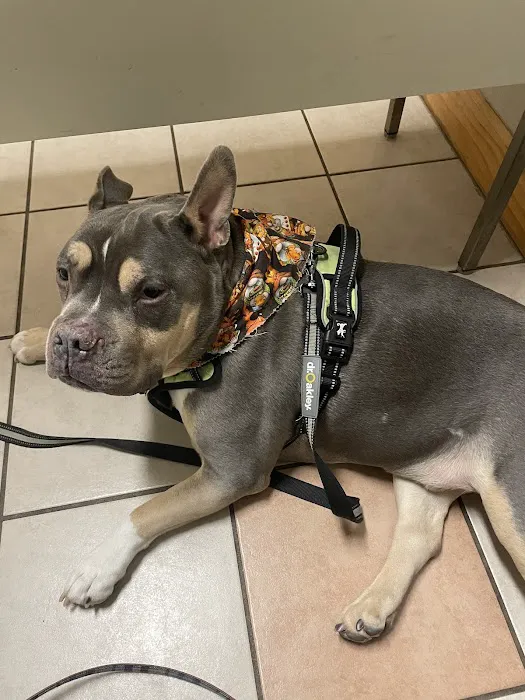Smithfield Animal Hospital 4
