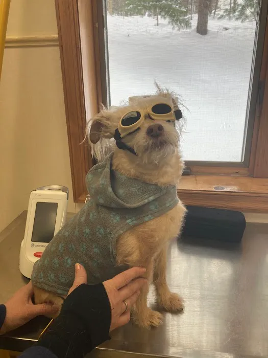 Smithfield Animal Hospital 9