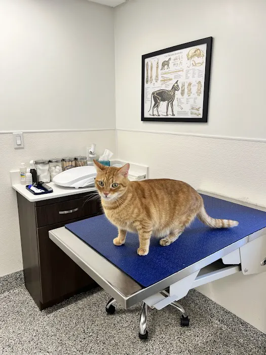 Veterinaire Pet Care 3