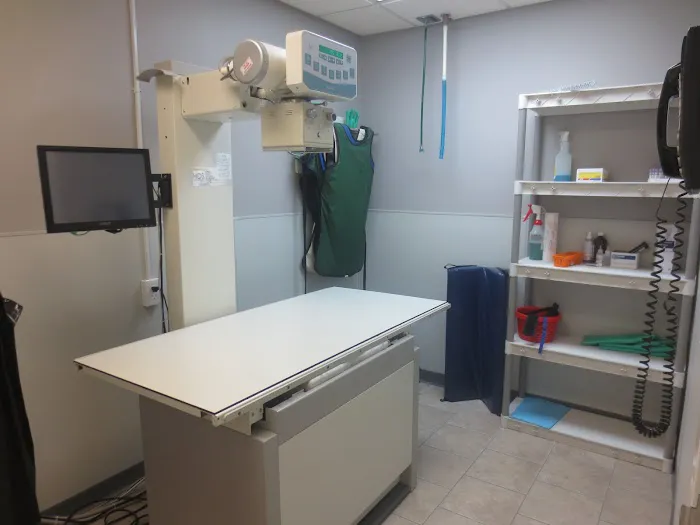 Downtown Veterinary Associates 1