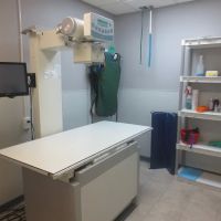 Downtown Veterinary Associates ico