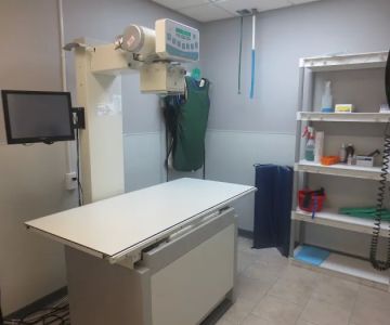 Downtown Veterinary Associates