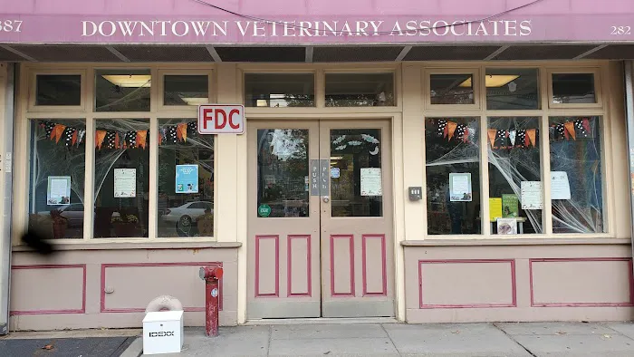 Downtown Veterinary Associates 3