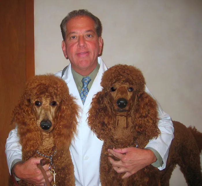 Downtown Veterinary Associates 9