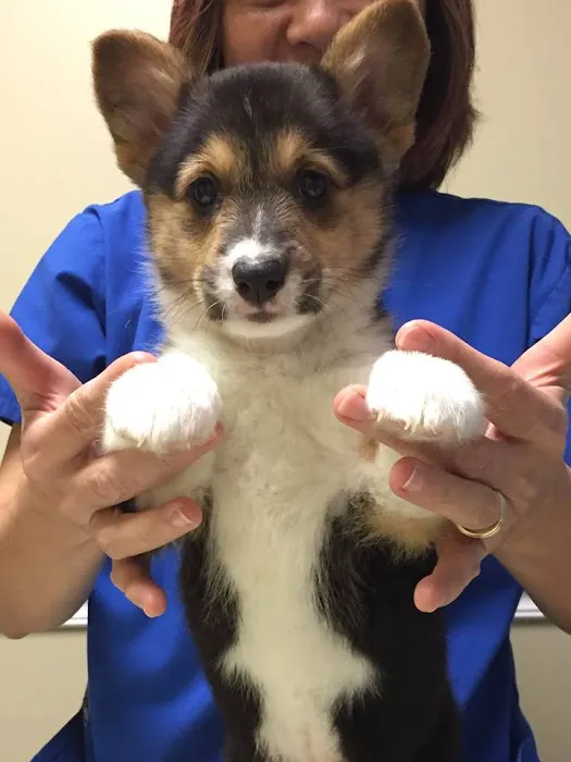 Dongan Hills Veterinary Practice 6
