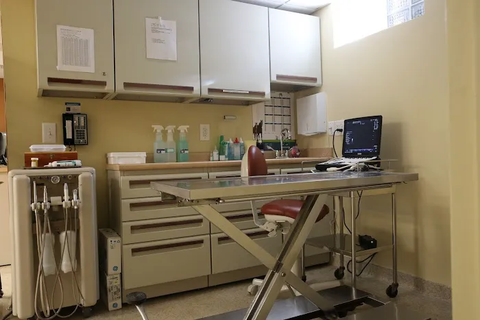 Dongan Hills Veterinary Practice 2