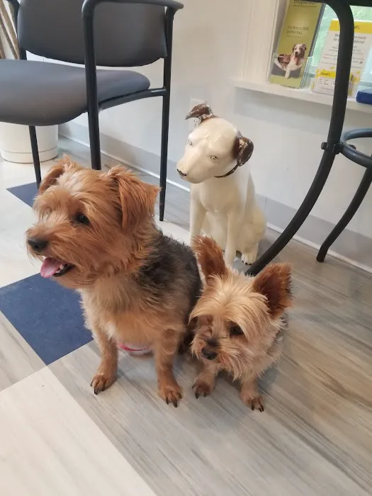 Family Veterinary Care 1