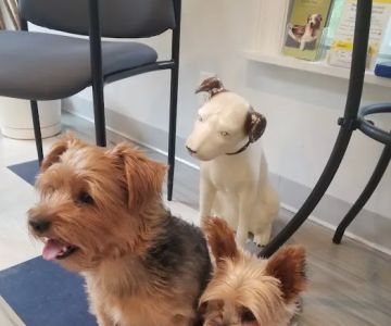 Family Veterinary Care