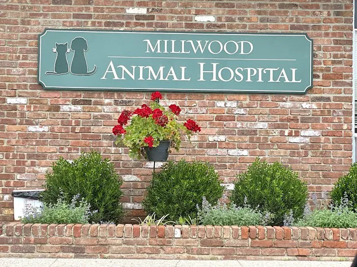 Millwood Animal Hospital 3