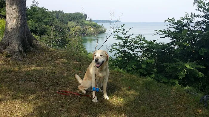 Millwood Animal Hospital 4