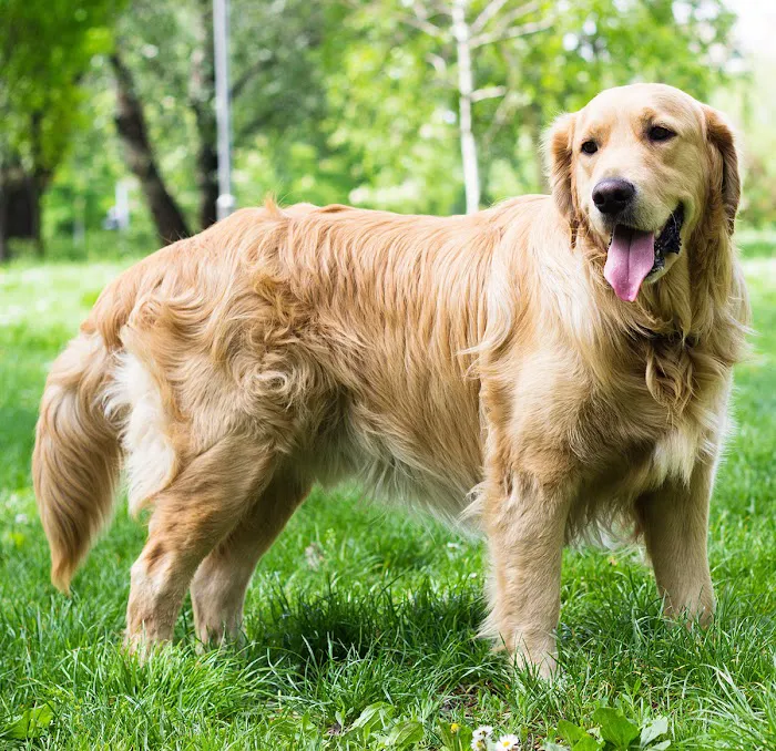 Croton Animal Hospital 7