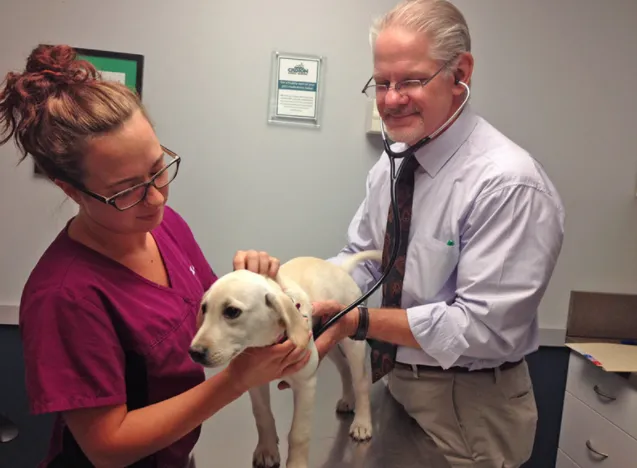 Croton Animal Hospital 9