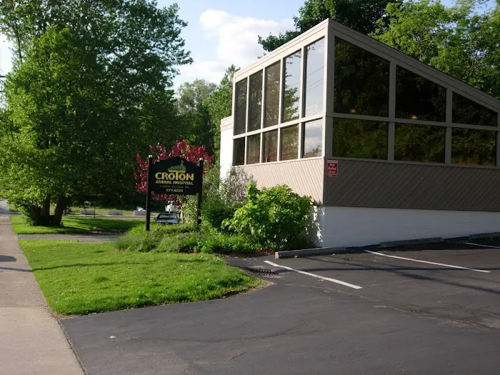 Croton Animal Hospital 5