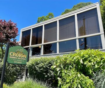 Croton Animal Hospital