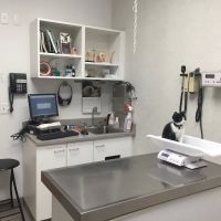 South Putnam Animal Hospital ico